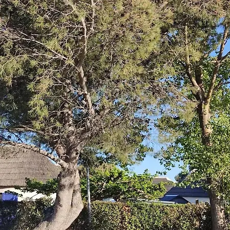 Сasa de vacaciones Maisonnette De Le Barcarès