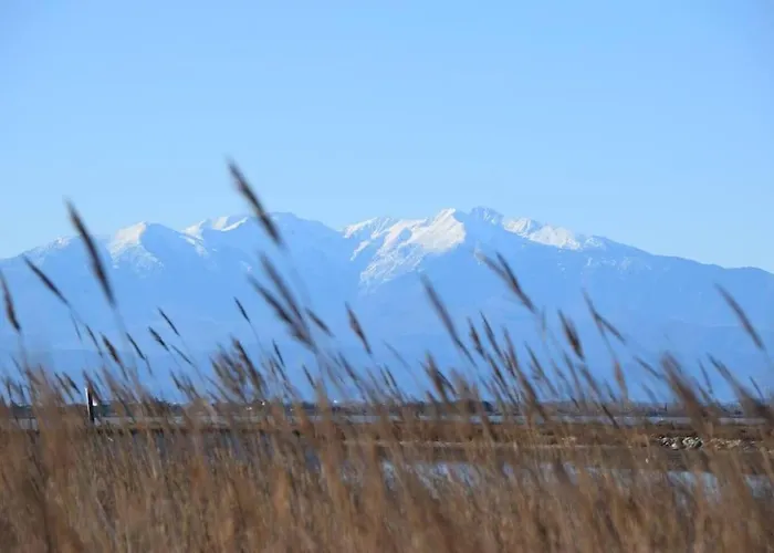 Hébergement de vacances Maisonnette De *